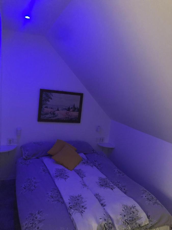 Holiday House Apartments Dajcic 瓦拉日丁托普利采 外观 照片