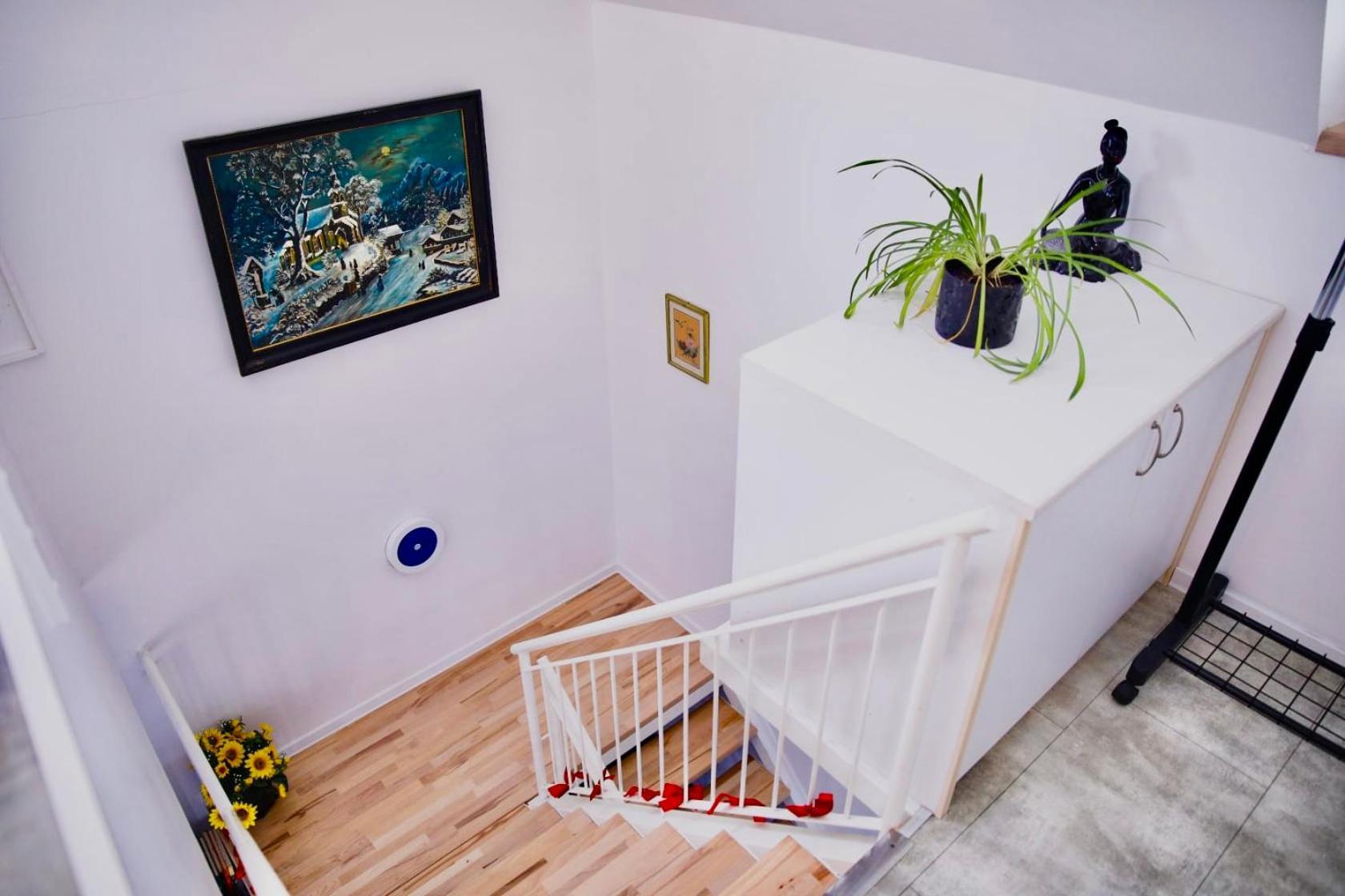 Holiday House Apartments Dajcic 瓦拉日丁托普利采 外观 照片