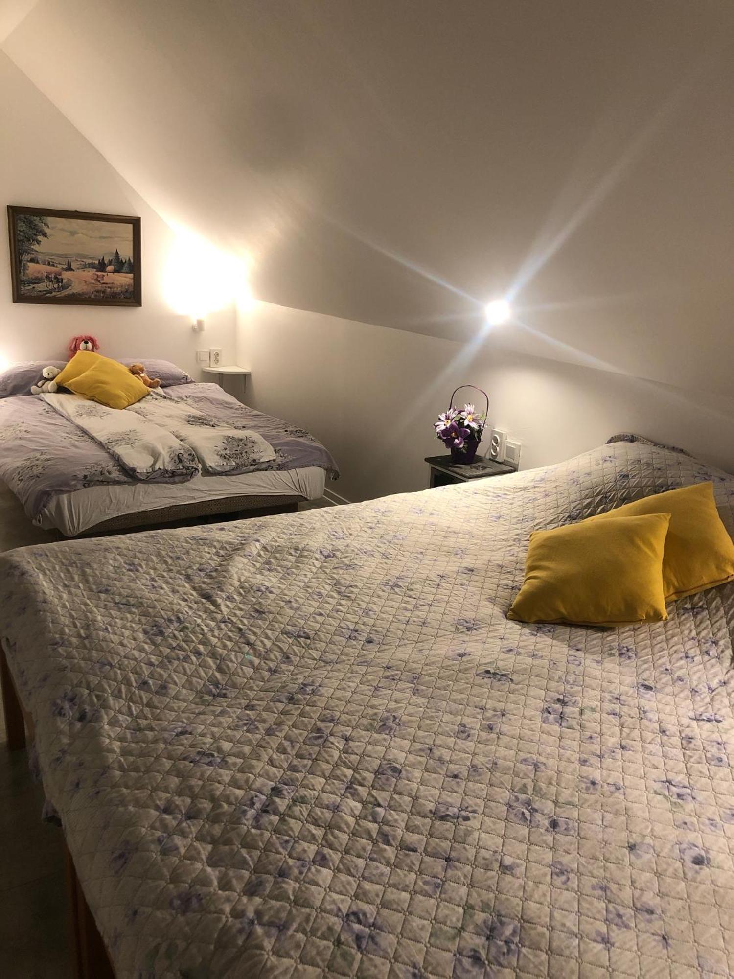 Holiday House Apartments Dajcic 瓦拉日丁托普利采 外观 照片